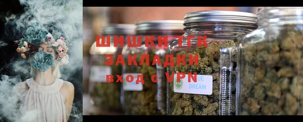 ECSTASY Ростов